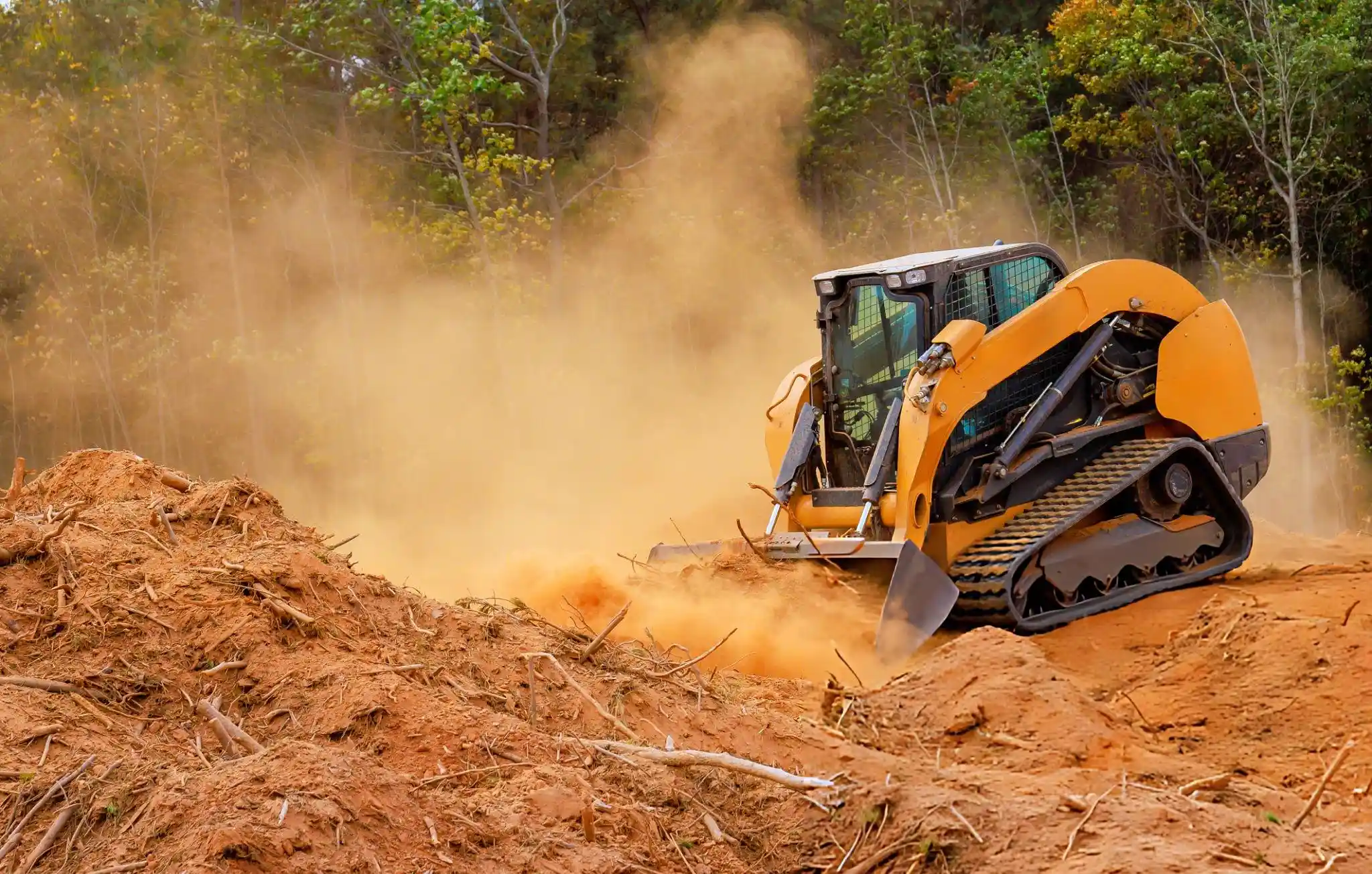 Types of Skid Steer Loader